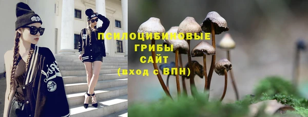 молекула духа Вяземский