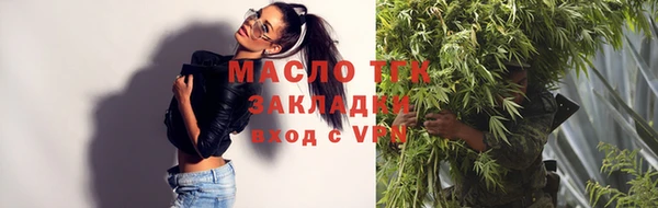 индика Вязьма
