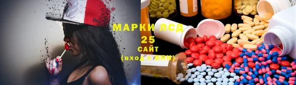 индика Вязьма