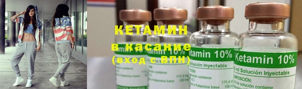 индика Вязьма