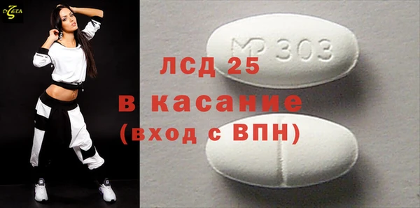 индика Вязьма