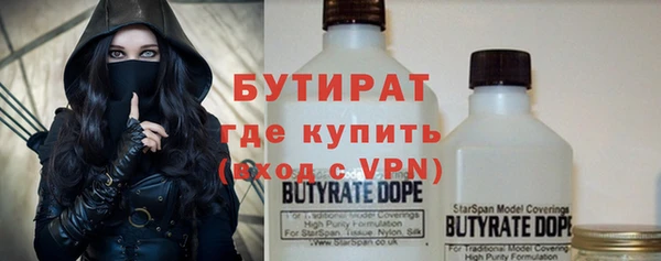 молекула духа Вяземский
