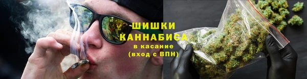 молекула духа Вяземский
