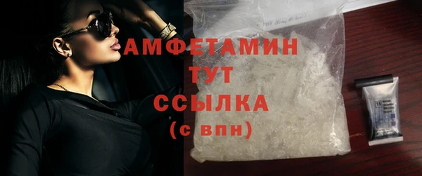молекула духа Вяземский