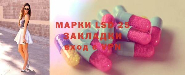 молекула духа Вяземский