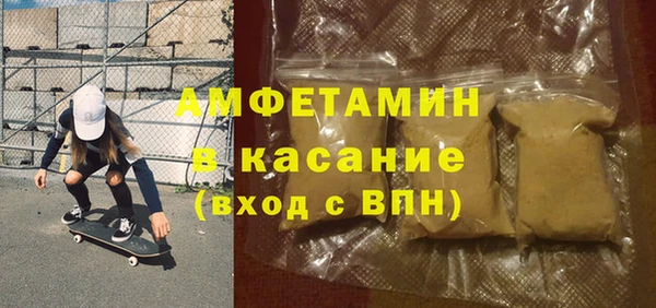индика Вязьма