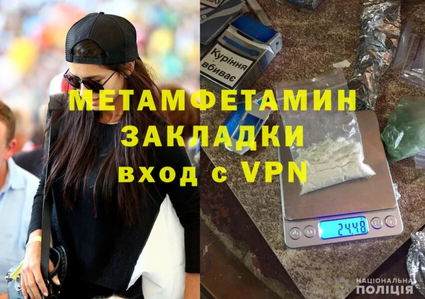 молекула духа Вяземский