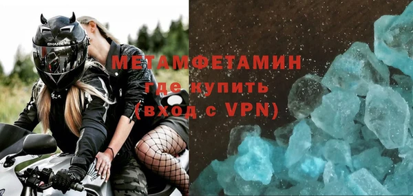 молекула духа Вяземский