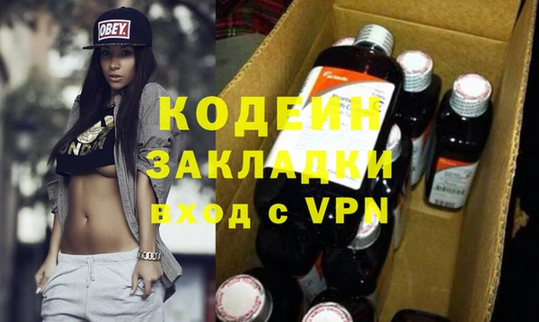 индика Вязьма