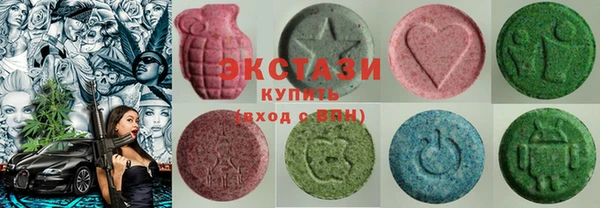 индика Вязьма