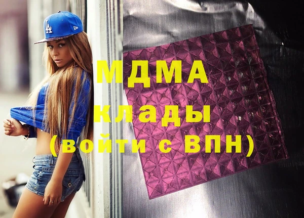 молекула духа Вяземский