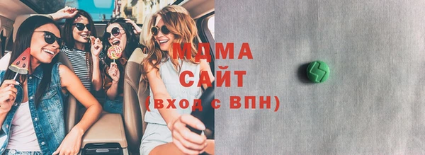молекула духа Вяземский