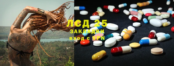 индика Вязьма