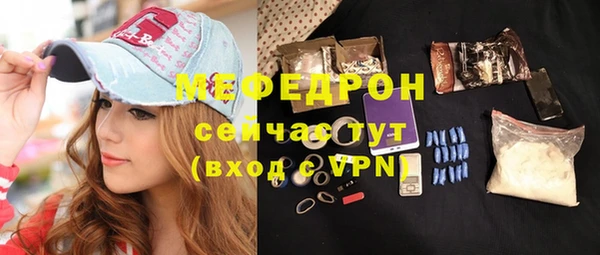 молекула духа Вяземский