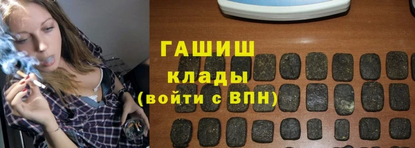молекула духа Вяземский