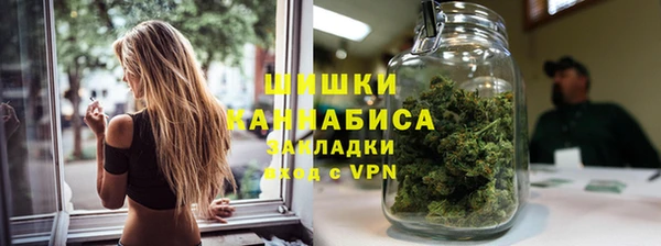 индика Вязьма