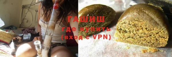 индика Вязьма