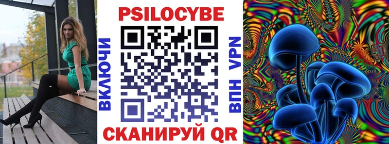 KRAKEN ссылки  Калининград  Псилоцибиновые грибы GOLDEN TEACHER 